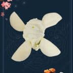 Best Vanilla Mochi Ice Cream 2pcs in Briarcliff Manor, NY